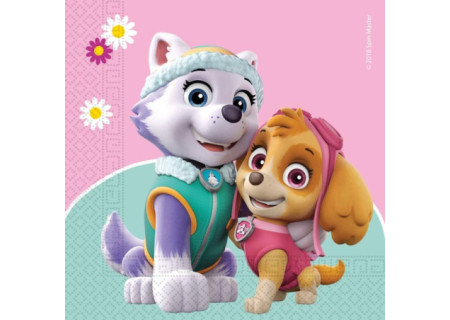 Paw Patrol Skye and...