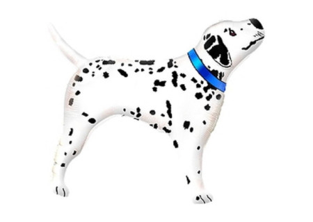 Dalmation Dog, Dalmata...