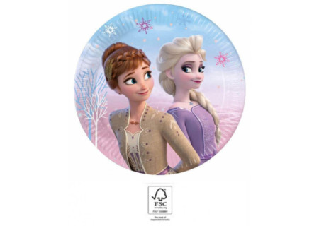 Disney Frozen II Wind...