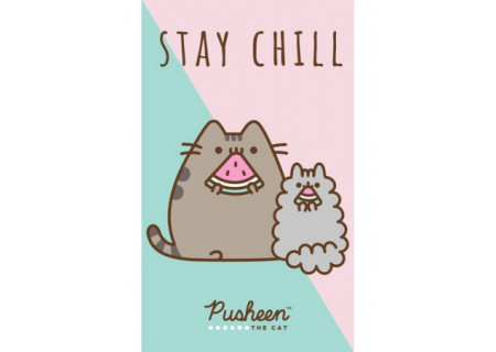 Pusheen Stay Chill...