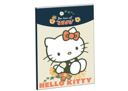 Hello Kitty Stay Sunny B/5...