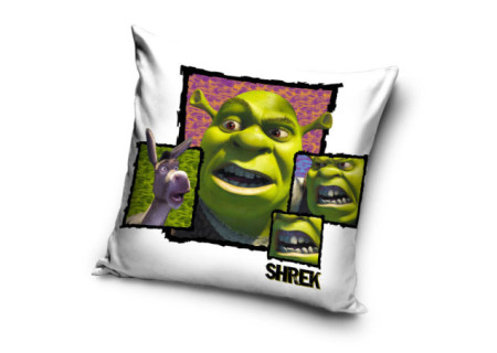 Shrek párnahuzat 40x40 cm...