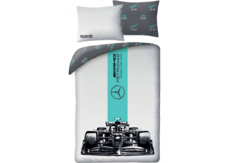 Mercedes AMG Petronas...